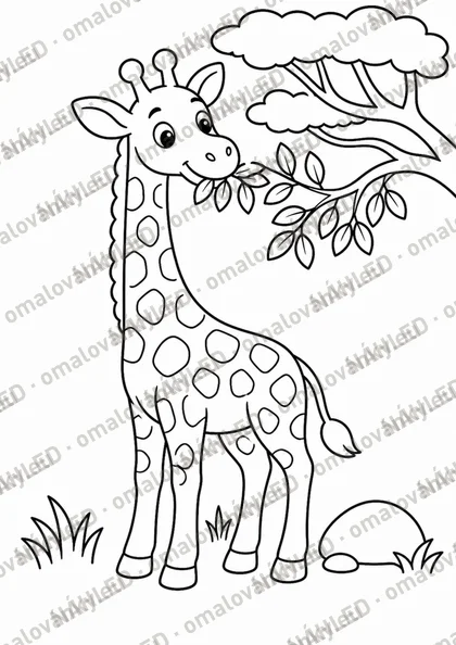 ZOO – strana 2